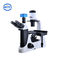 PD100 Üç Göz Gözlem Tüpü Ters Biyolojik Mikroskop 30 Derece Eğim 360 Derece Döndürme