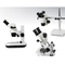 Mikroskop Aksesuarları ile Sürekli Ploidy 4.5x Optik Işık Mikroskobu